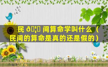 民 🦋 间算命学叫什么（民间的算命是真的还是假的）